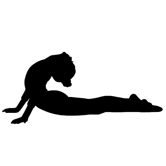 tanzschule-desweemer-fitnesskurse-erwachsene-hatha-yoga-silhouette Tanzschule Desweemèr: Hatha Yoga