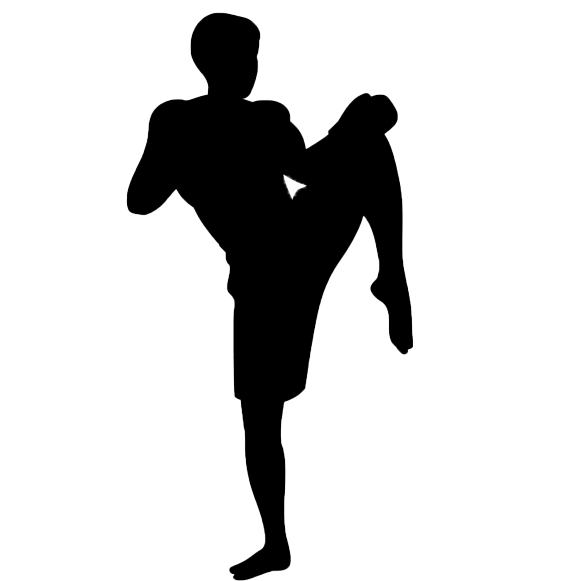 tanzschule-desweemer-fitnesskurse-erwachsene-tae-bo-silhouette Tanzschule Desweemèr: Tae Bo